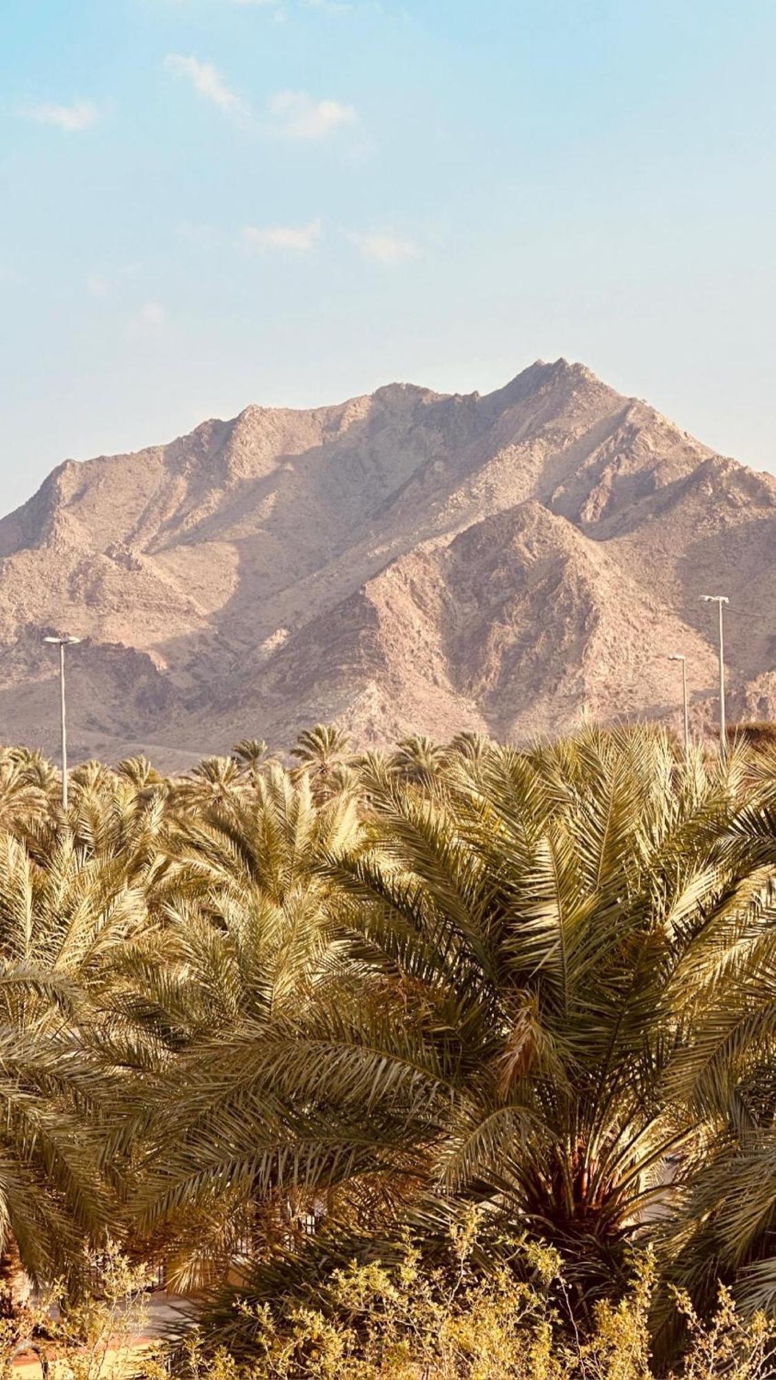 Hatta Retreat Private Pool Wadi Hub For Activities ภายนอก รูปภาพ